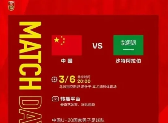 2026世界杯中国vs卡塔尔，这场亚洲足球的焦点战备受瞩目